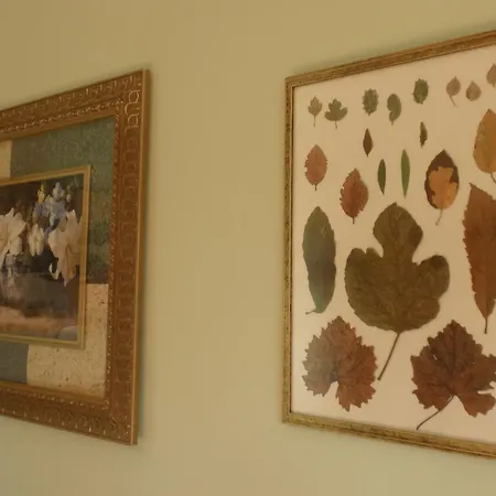 Sierras Y Valles Εξοχικό σπίτι *