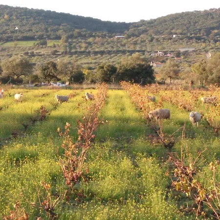 Sierras Y Valles Εξοχικό σπίτι *