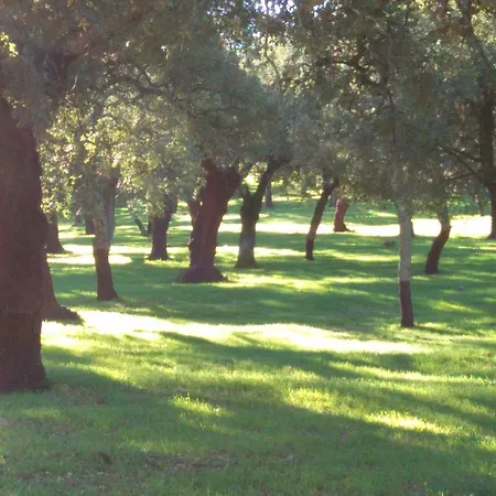 Εξοχικό σπίτι Sierras Y Valles Salvatierra de los Barros