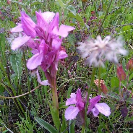 Εξοχικό σπίτι Sierras Y Valles Salvatierra de los Barros