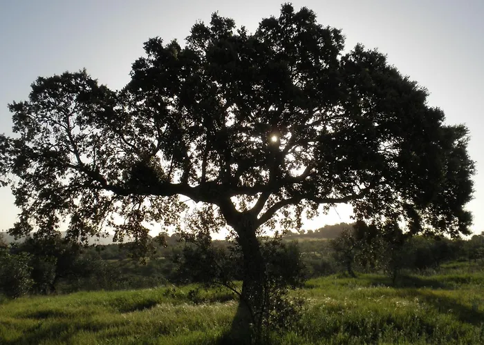 Sierras Y Valles Salvatierra de los Barros