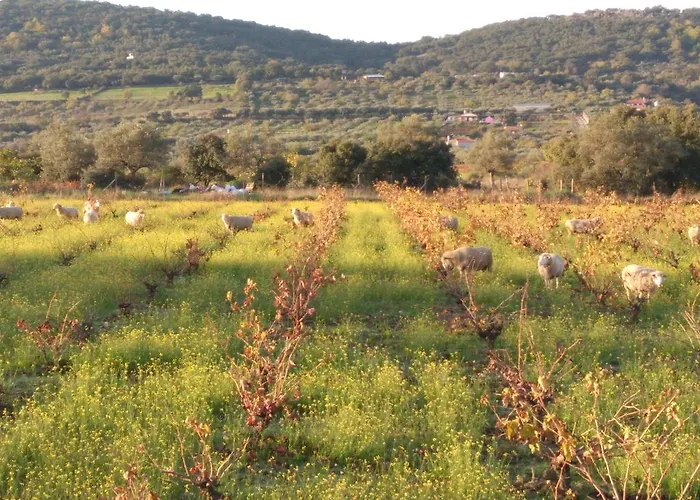 Sierras Y Valles Venkovský dům *